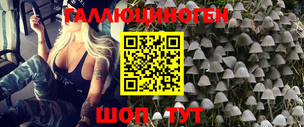 Тверь  Галлюциногенные грибы Magic Shrooms  Вход с VPN  Псилоцибиновые грибы прущие грибы 