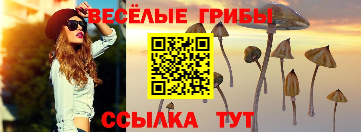 Псилоцибиновые грибы мицелий Тверь